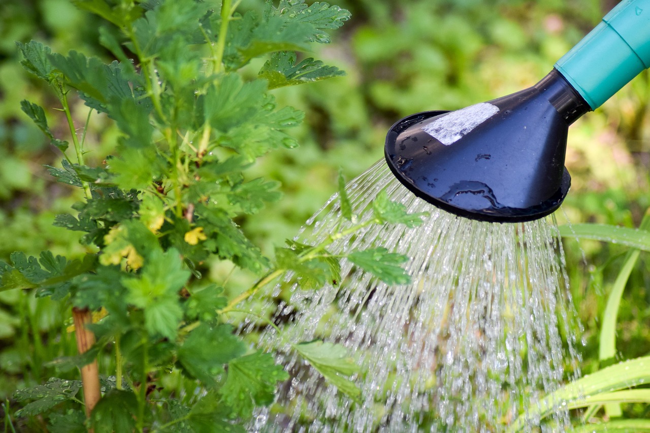 Sistema innovativo per irrigare il giardino in modo efficiente e sostenibile, riducendo lo spreco d'acqua.