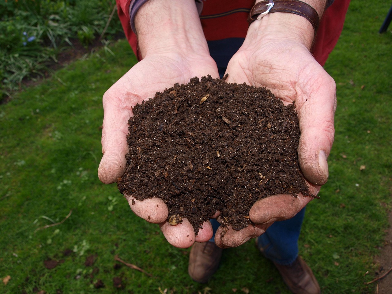 Fertilizzante dannoso per il giardino, con simbolo di avviso e piante in sofferenza sullo sfondo.