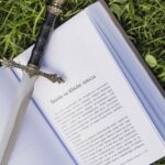 Copertina del romanzo "Il Segreto del Re" con un'immagine intrigante e misteriosa, che anticipa il finale sorprendente.