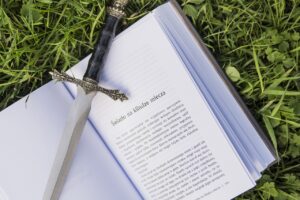 Copertina del romanzo "Il Segreto del Re" con un'immagine intrigante e misteriosa, che anticipa il finale sorprendente.