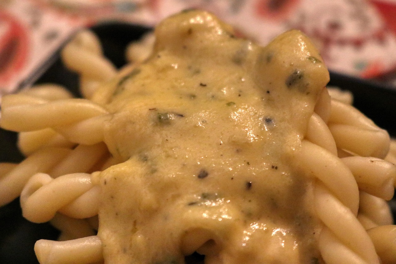 Pasta ai 4 formaggi con una salsa cremosa e filante, servita in un piatto bianco.